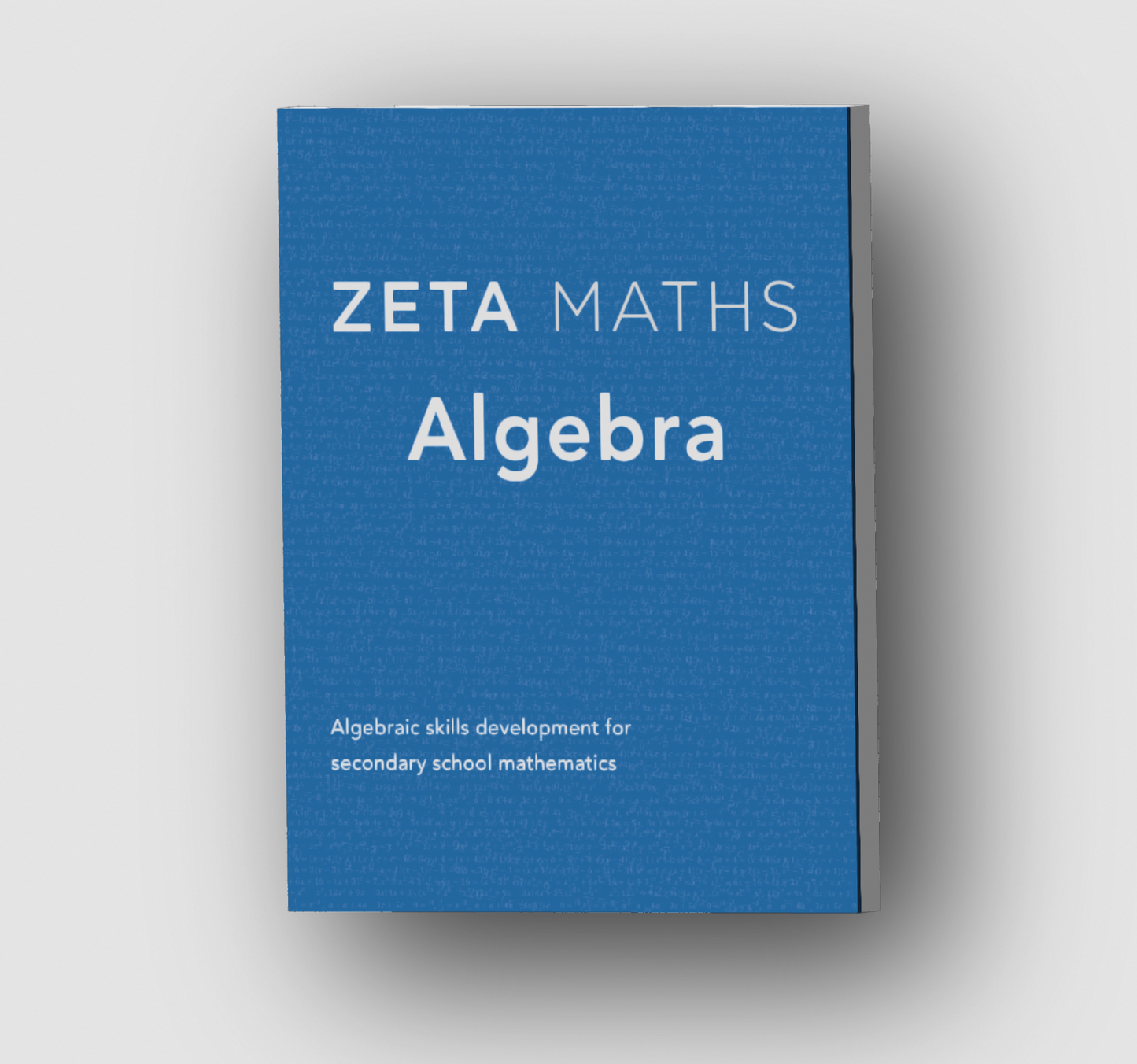 Clearance (Read Description): Algebra